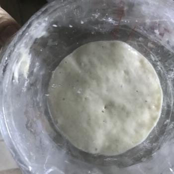 Zoe jar shot