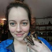 profile picture Courtney  Boell 