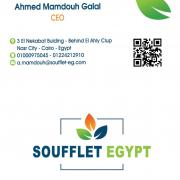 profile picture Ahmed Mamdouh